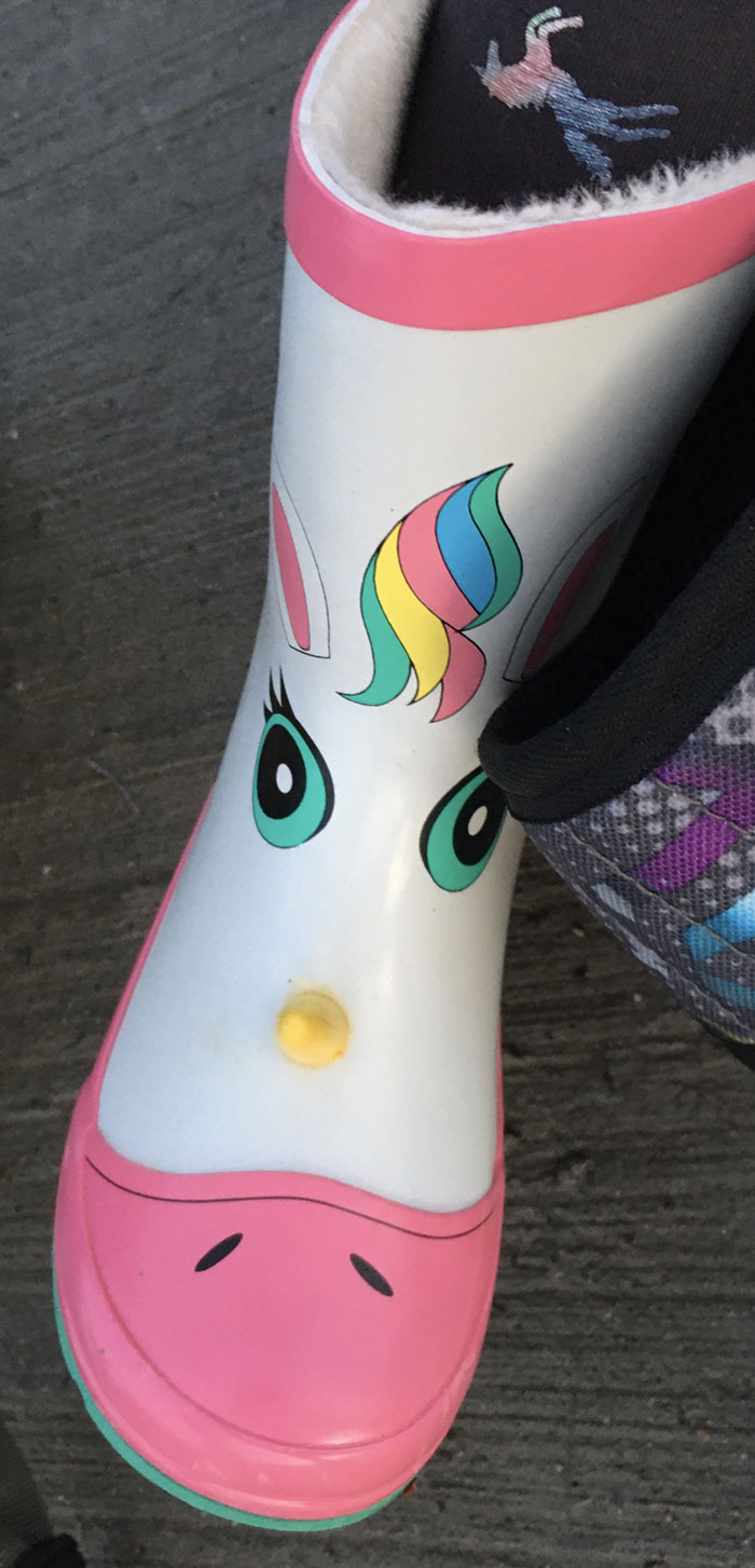 Why Is The Horn There?