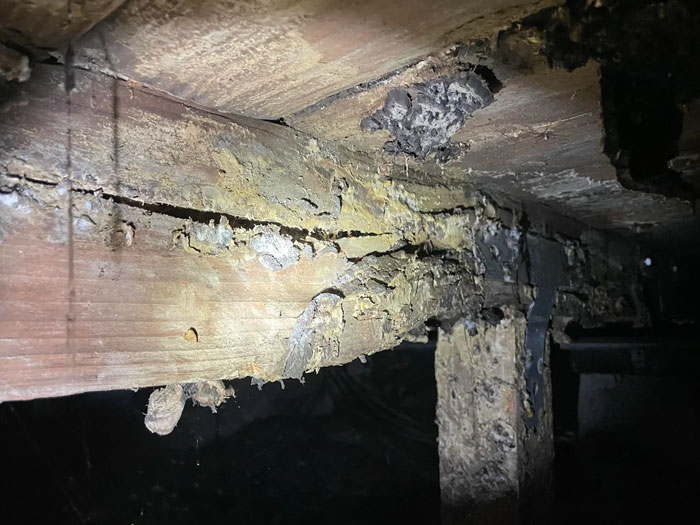 Visto durante un asesoramiento estructural