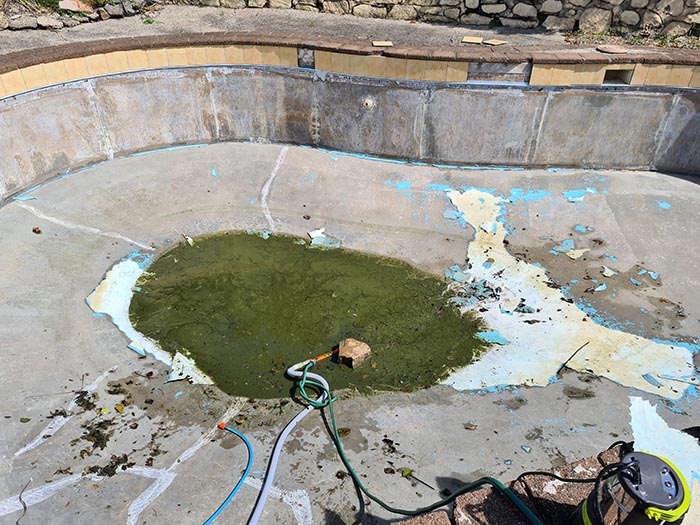 Person Wreaks Petty Revenge On Neighbor Who Kept Complaining About Their Pool By Painting It Green Person Wreaks Petty Revenge On Neighbor Who Kept Complaining About Their Pool By Painting It Green