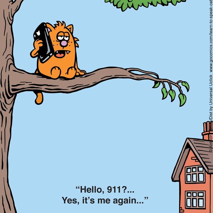 Cartoon cat in tree talking on phone, humorously capturing the nature of cats in a comic style illustration.