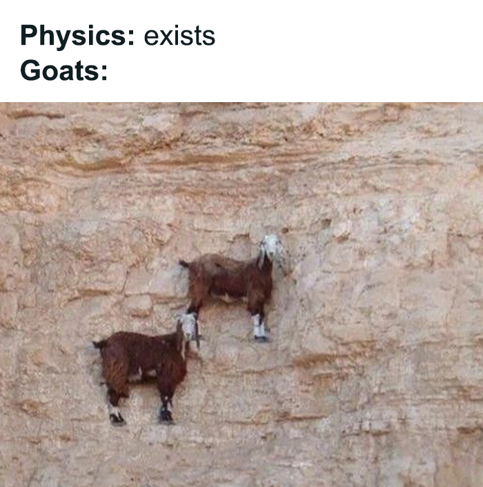 Two goats defying physics by climbing a steep cliff, illustrating a humorous take on physics concepts.
