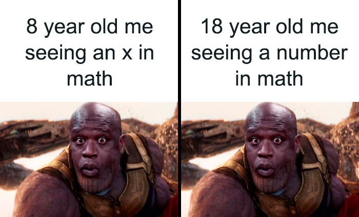 Split image meme depicting reactions to algebra in math; humorous take on understanding physics.