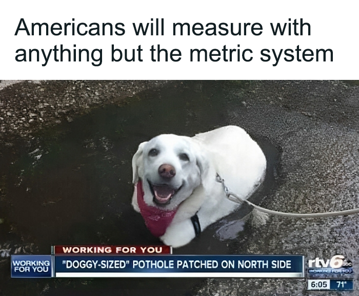 Dog in a pothole with text about Americans avoiding the metric system, illustrating humor in physics measurements.