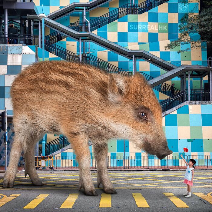 Digital Artist Shows What Hong Kong Would Be Like If Giant Animals Invaded It (34 Pics)