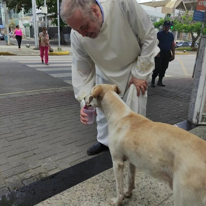 This Loving Priest Continues To Collect Stray Dogs At His Church, Encouraging People To Adopt Them