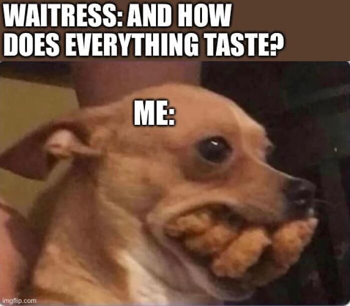 Dog humorously holding food in its mouth, illustrating relatable memes about everything.