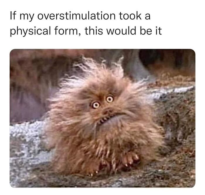 Fluffy creature with wild hair and wide eyes, representing overstimulation; a relatable meme.