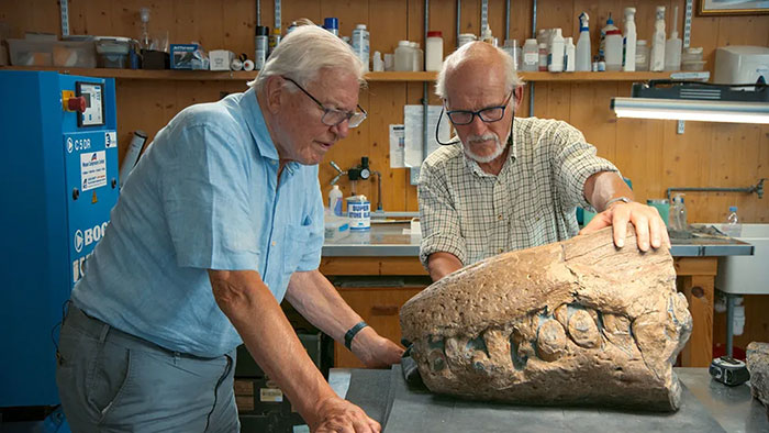 Men Discover Perfectly Preserved Skull Of Prehistoric Predator That Lived 150 Million Years Ago Men Discover Perfectly Preserved Skull Of Prehistoric Predator That Lived 150 Million Years Ago