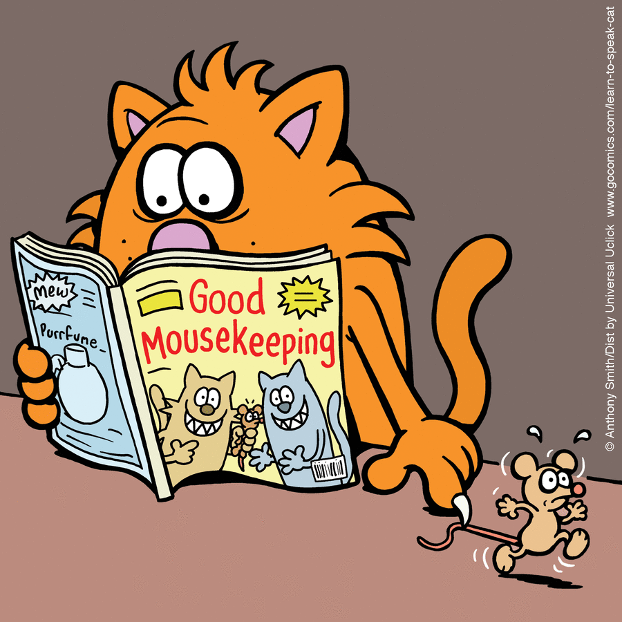Orange cat reading a mousekeeping magazine while holding a frightened mouse by the tail in a comic style illustration.