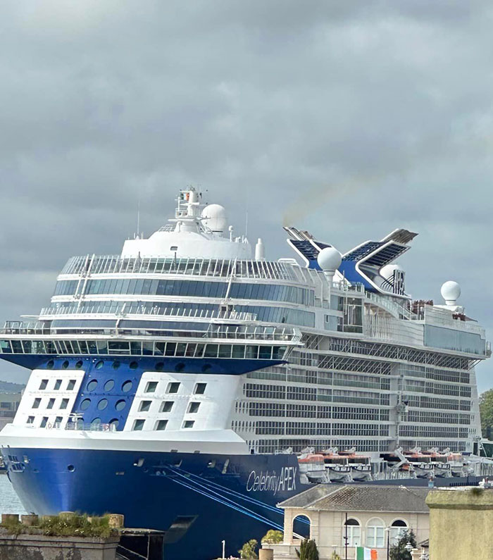 &ldquo;Don&rsquo;t Blame Them&rdquo;: Couple Sells Everything To Live On Cruise Ships For The Rest Of Their Lives