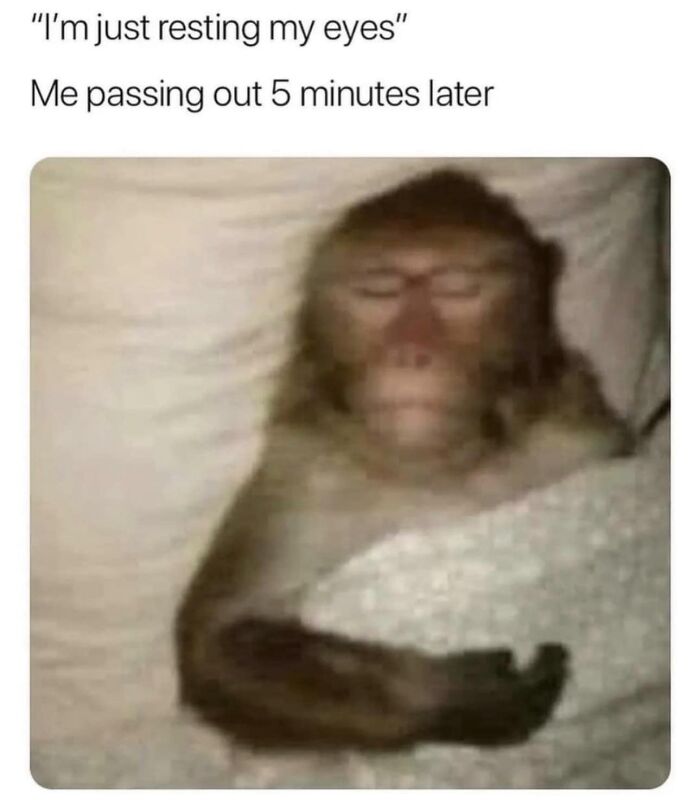 Funny-Relatable-Memes-Jokes