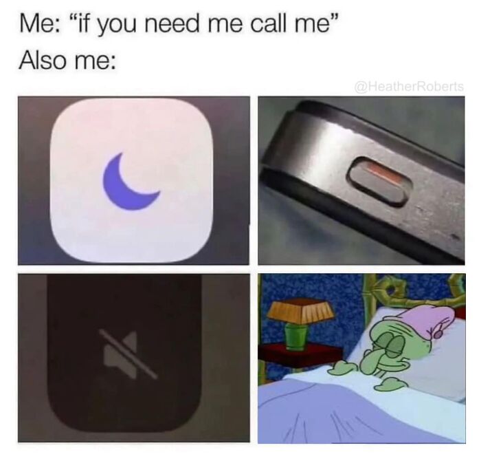 Relatable meme showing a phone in Do Not Disturb mode and Squidward sleeping contentedly, highlighting irony.