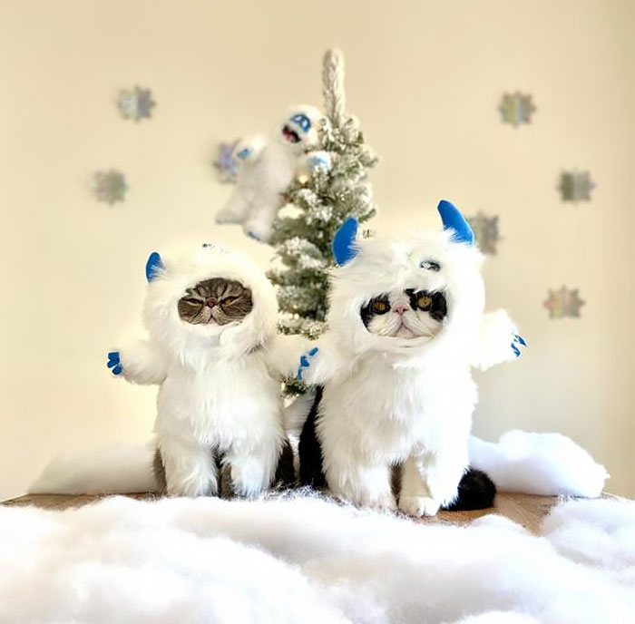 Make A 'Brrr-Illiant' Statement With The Front Walking Abominable Snowman Dog & Cat Costume – Cold Weather Never Looked So Heart-Warming!