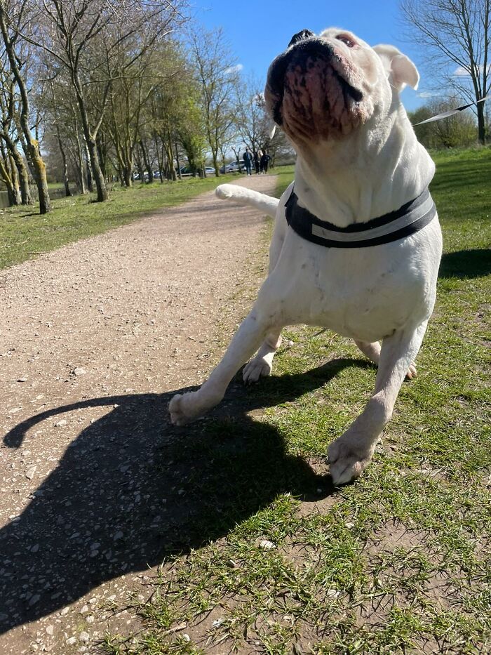 Max...living His Best Life