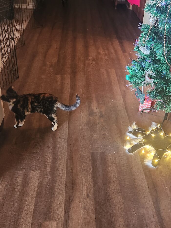 Just A Little Reminder For Her To Leave The Lights Alone