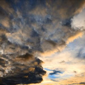 taratheterror8 avatar