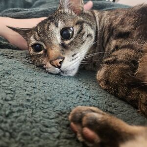 mccullough_aaron avatar