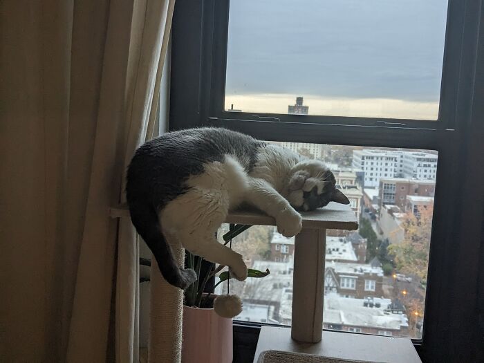 Don't Worry, He Did Not Fall!