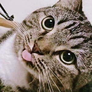 featherwings091 avatar