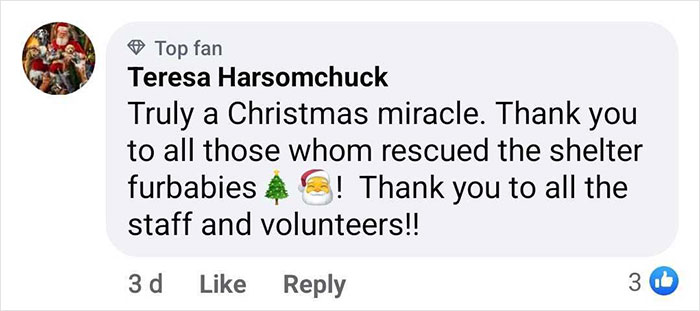 First Time In 50 Years That Animal Shelter Is Empty After 600 Dogs Get &ldquo;Miraculously&rdquo; Adopted