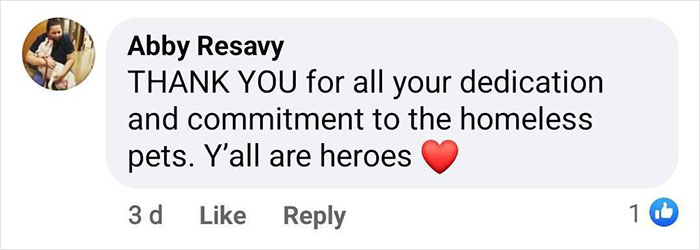 First Time In 50 Years That Animal Shelter Is Empty After 600 Dogs Get &ldquo;Miraculously&rdquo; Adopted