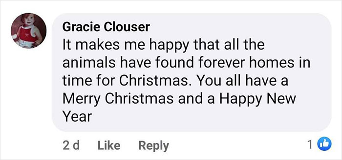 First Time In 50 Years That Animal Shelter Is Empty After 600 Dogs Get &ldquo;Miraculously&rdquo; Adopted