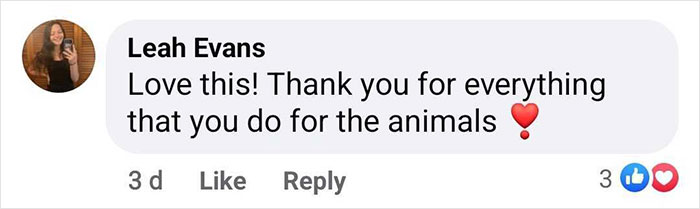 First Time In 50 Years That Animal Shelter Is Empty After 600 Dogs Get &ldquo;Miraculously&rdquo; Adopted