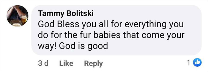 First Time In 50 Years That Animal Shelter Is Empty After 600 Dogs Get &ldquo;Miraculously&rdquo; Adopted