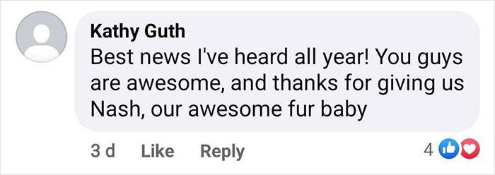 First Time In 50 Years That Animal Shelter Is Empty After 600 Dogs Get &ldquo;Miraculously&rdquo; Adopted