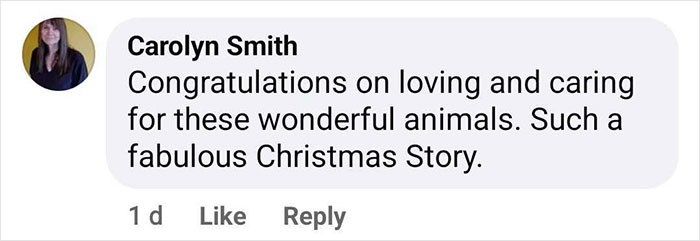 First Time In 50 Years That Animal Shelter Is Empty After 600 Dogs Get &ldquo;Miraculously&rdquo; Adopted