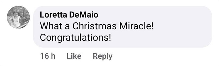 First Time In 50 Years That Animal Shelter Is Empty After 600 Dogs Get &ldquo;Miraculously&rdquo; Adopted