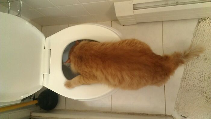 Tabasco Dave Had A Hard Night Of Carousing