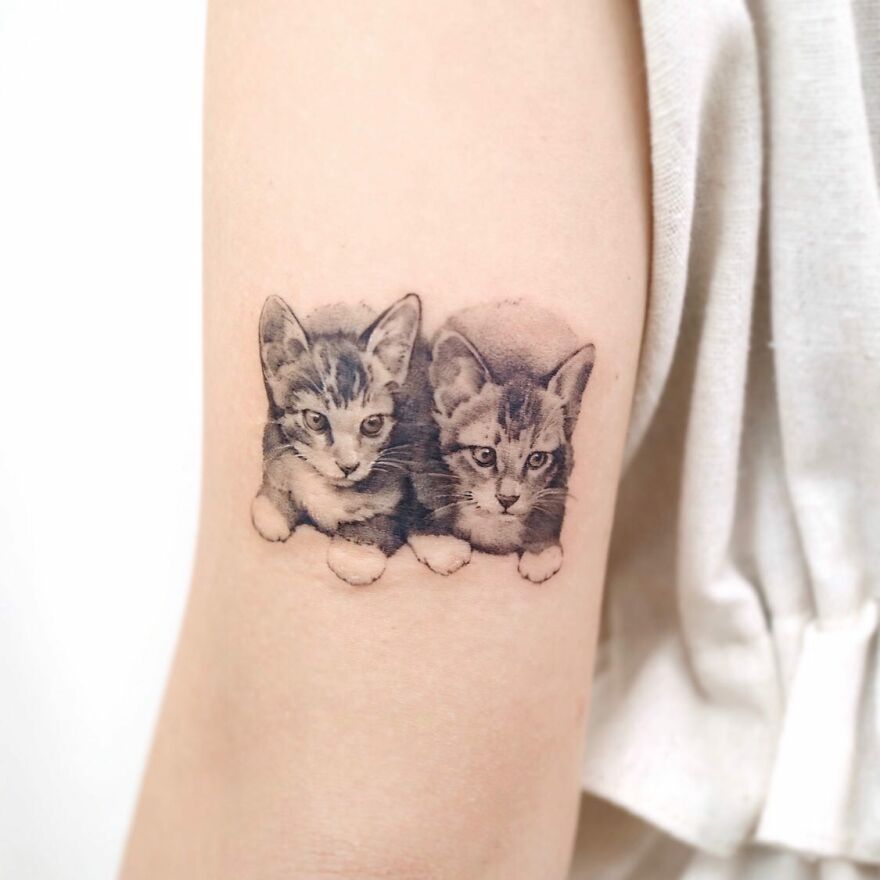 Tattoo of two cats on the arm, showcasing nature-inspired painting-like art.
