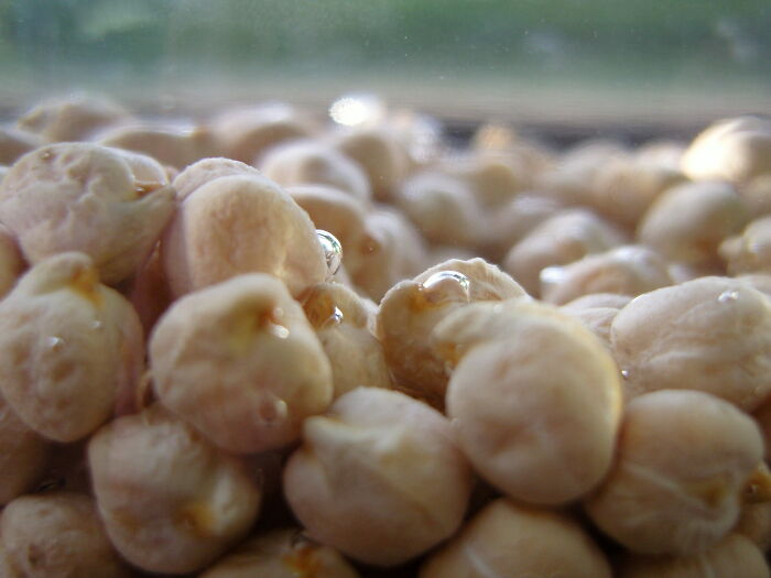 30 People Revealed Their Favorite Cooking Hacks That They Wish They Knew Sooner