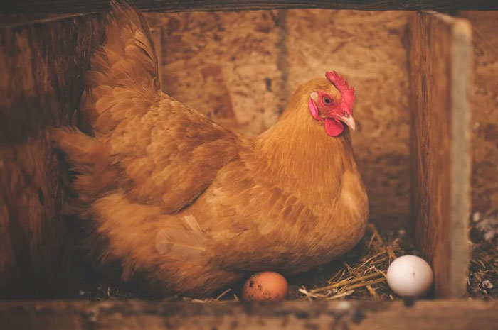 35 Times People Entered Someone Else’s Home And Just Had To Describe The Weirdness That They Saw