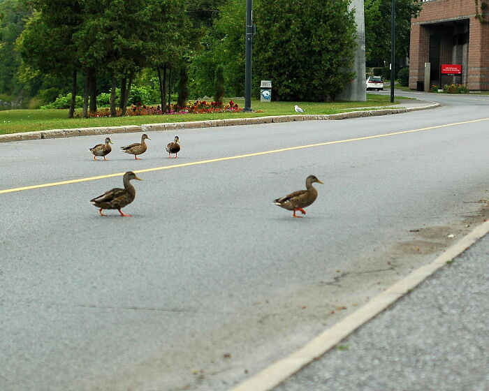 20 Coincidencias experimentadas por la gente que cuesta creer que hayan sucedido en realidad