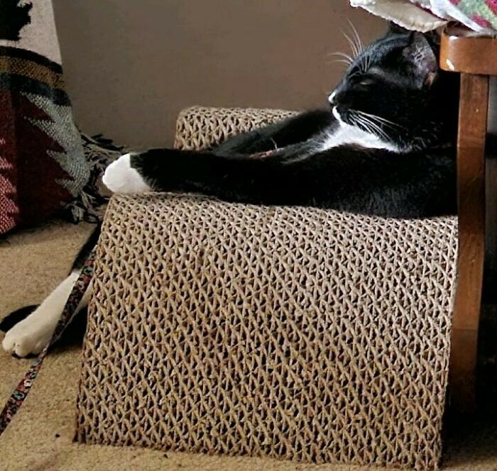 Jumpin' Jack Flash Taking Life Easy