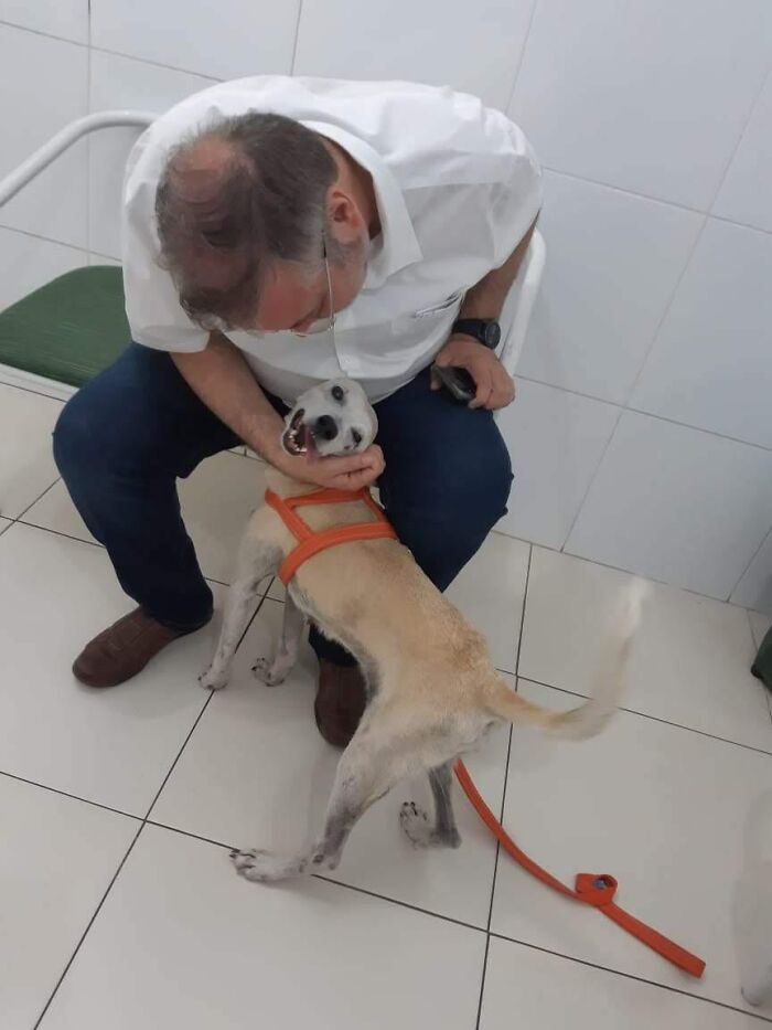 This Loving Priest Continues To Collect Stray Dogs At His Church, Encouraging People To Adopt Them