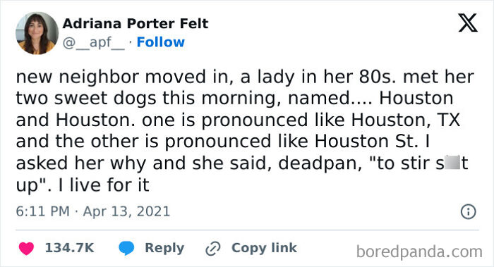 Really-Dumb-Funny-Tweets