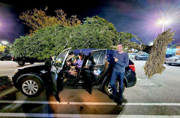 We Just Got Our Christmas Tree