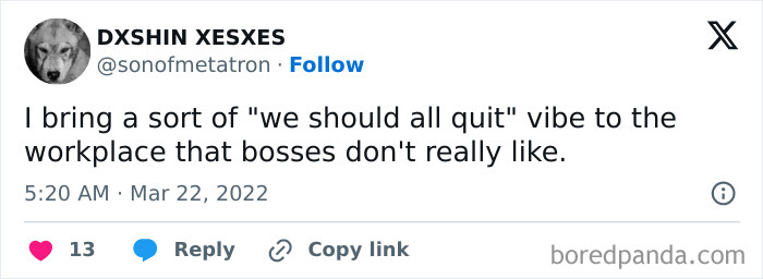 Funny-Work-Memes-Workmemesoffical