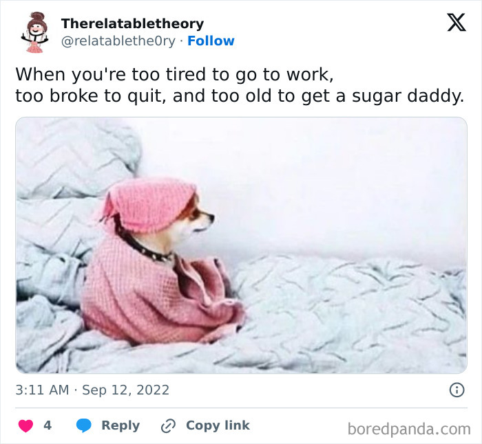 Dog in pink outfit looking tired, humorously relatable meme about exhaustion and life's challenges.