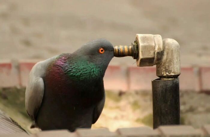 This Instagram Account Features Amusing Street Photographs And Has More Than 650 Thousand Followers (50 New Pics)