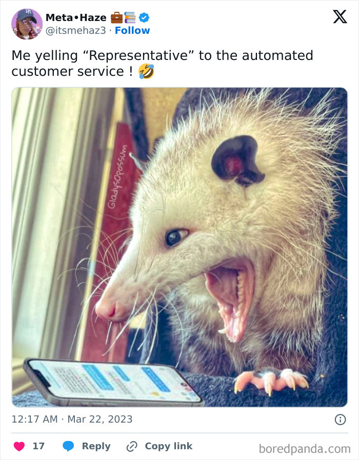 Possum meme humorously depicting frustration with automated customer service.