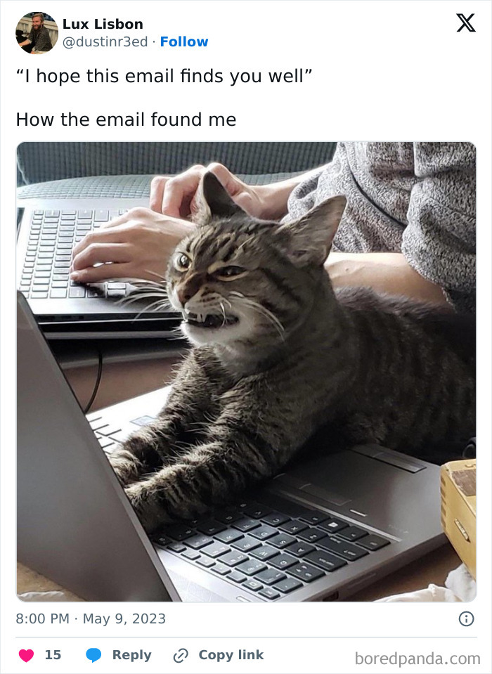 Funny-Work-Emails