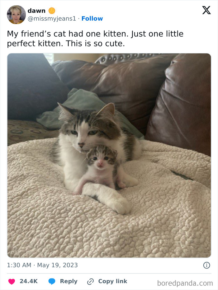 Wholesome-Funny-Memes