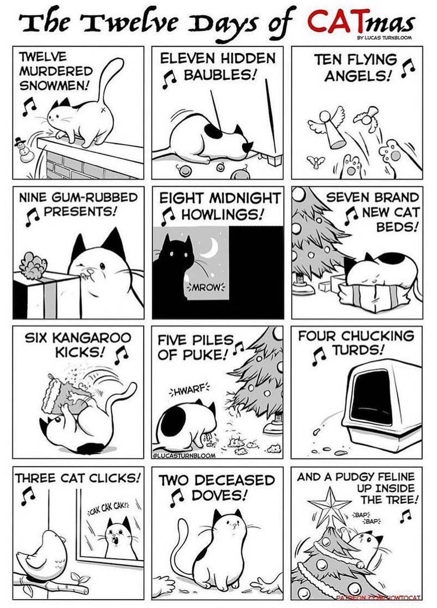 New Comics Illustrating The Funny Life Of A Kitten Who Found A New Home