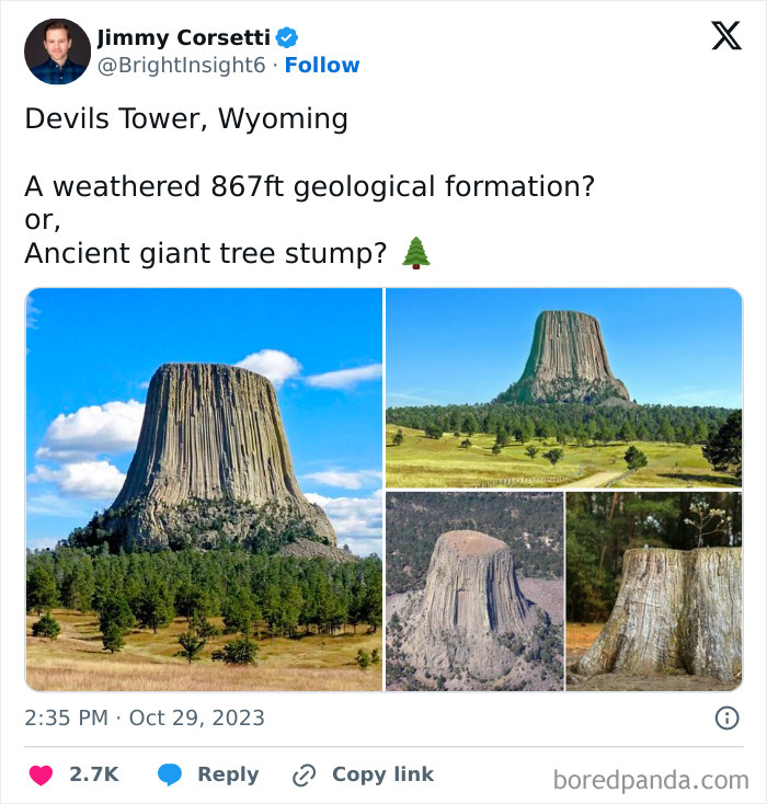 How Tall Would This Tree Have Been, And How Visible Would It Have Been?