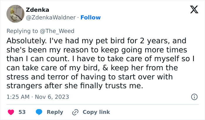 “Pets Are Family”: Family Therapist Explains Why Pets Mean So Much More Than That To Their Humans “Pets Are Family”: Family Therapist Explains Why Pets Mean So Much More Than That To Their Humans