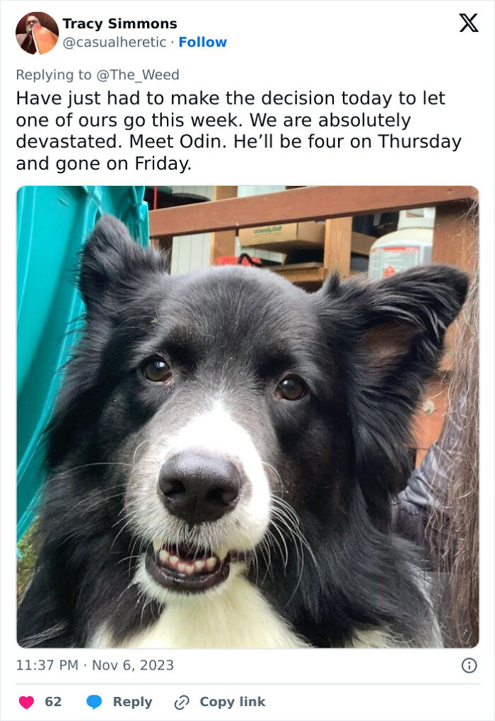 “Pets Are Family”: Family Therapist Explains Why Pets Mean So Much More Than That To Their Humans “Pets Are Family”: Family Therapist Explains Why Pets Mean So Much More Than That To Their Humans